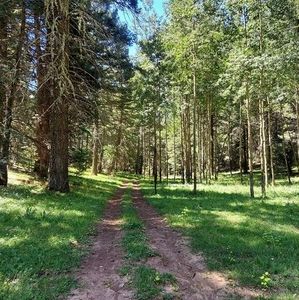 Meet your Posher, Diana